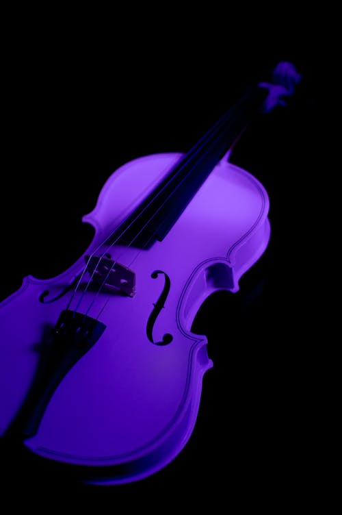 Close Up Photo of a Violin