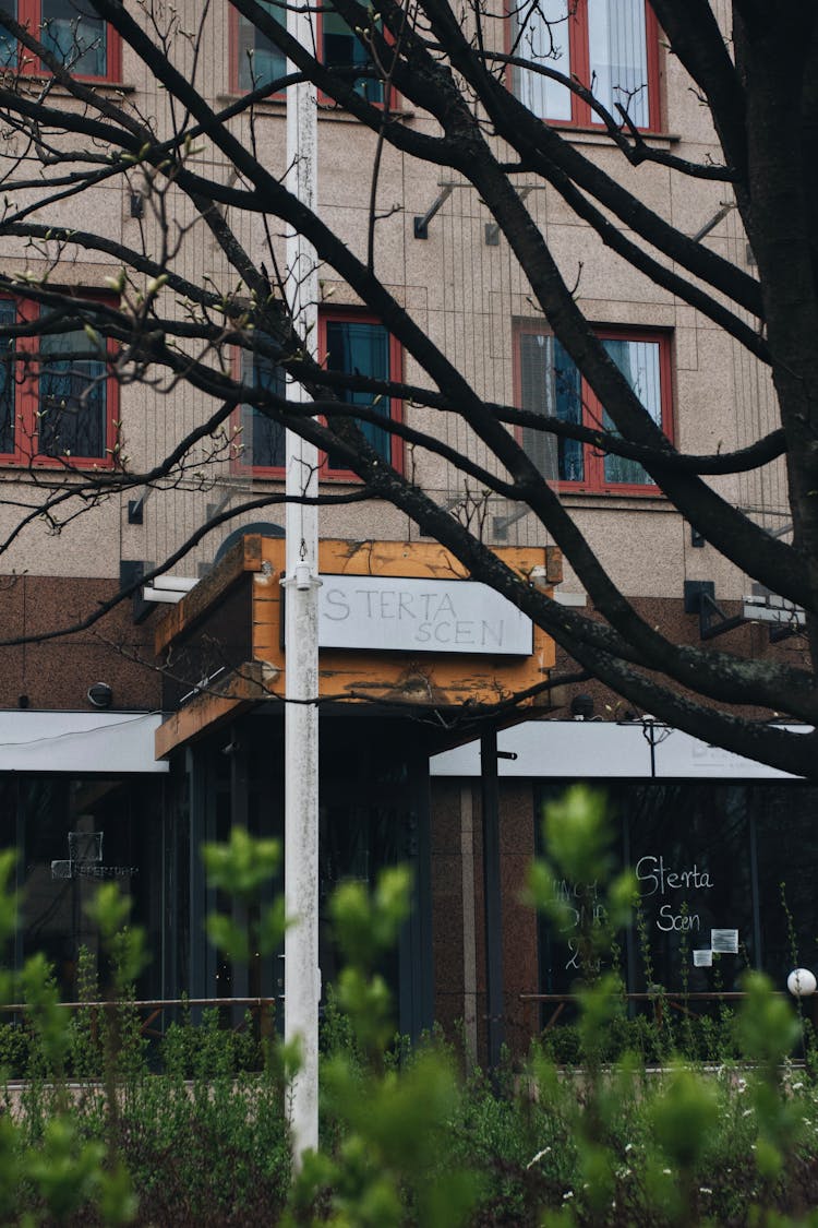 Storefront With Glass Windows