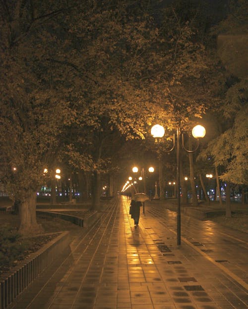 A Person Walking on the Street During Night Time