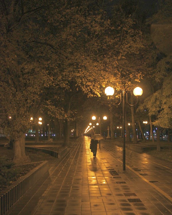 Foto d'estoc gratuïta de caminant, carrer, fanals