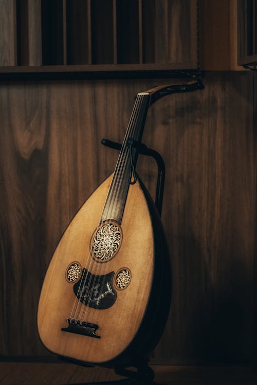 Brown Wooden Musical Instrument · Free Stock Photo