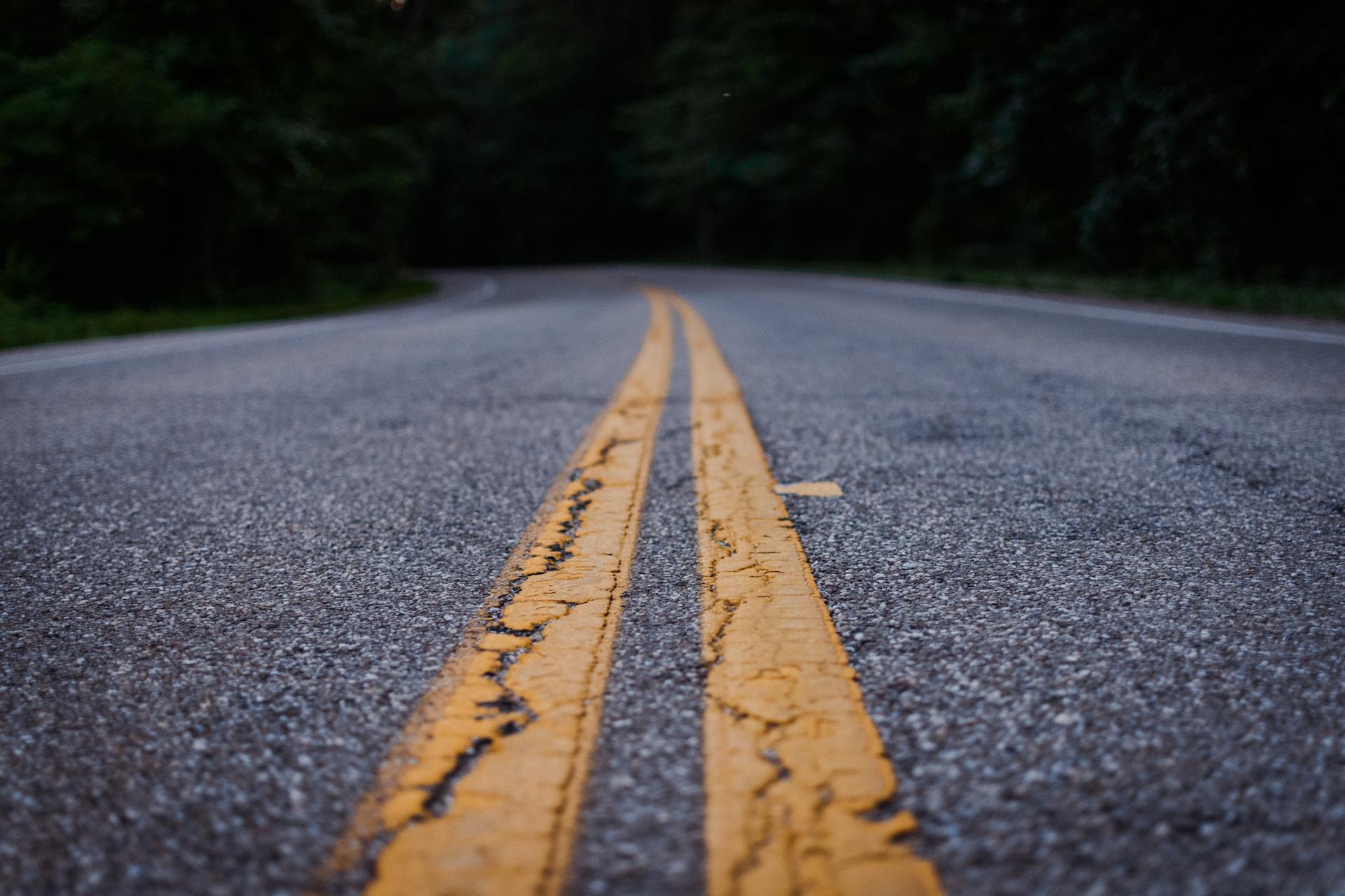 Scenic close-up shot of an empty asphalt road with yellow lines curving through a forested area.