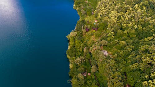 Gratis stockfoto met blauw water, dronefoto, groene bomen