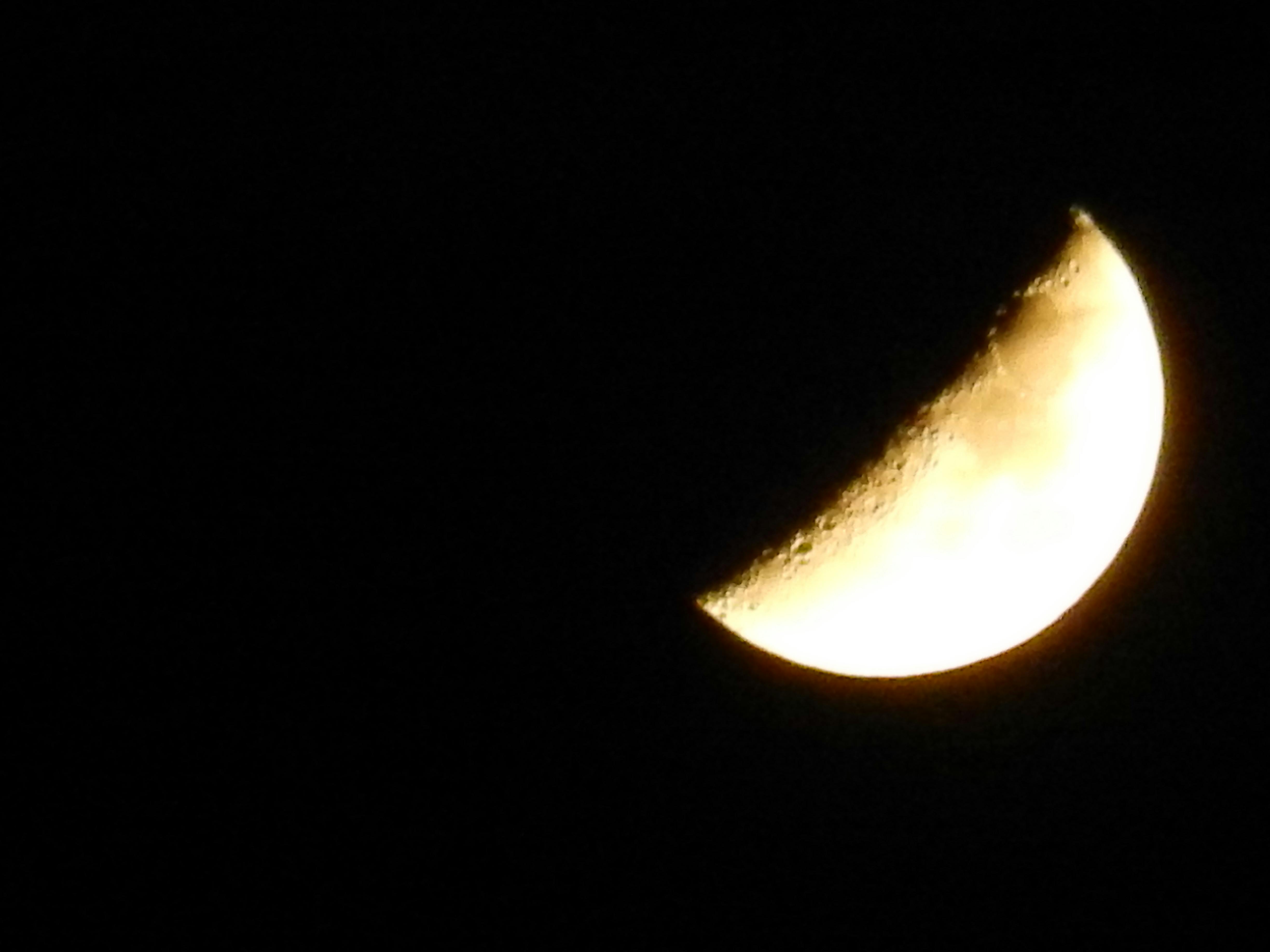 Free stock photo of crescent moon, half moon, night photograph