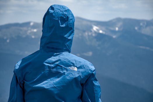 Hiker in a blue jacket admires the scenic mountain view in Ukraine's Zakarpattia Oblast.