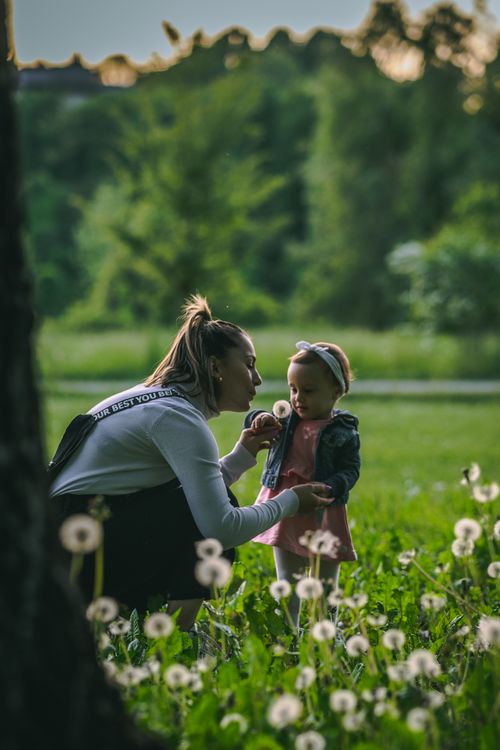 Free A mother and daughter share a tender moment in a sunny dandelion field, capturing family love. Stock Photo