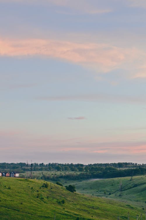 Houses on a Grass Field