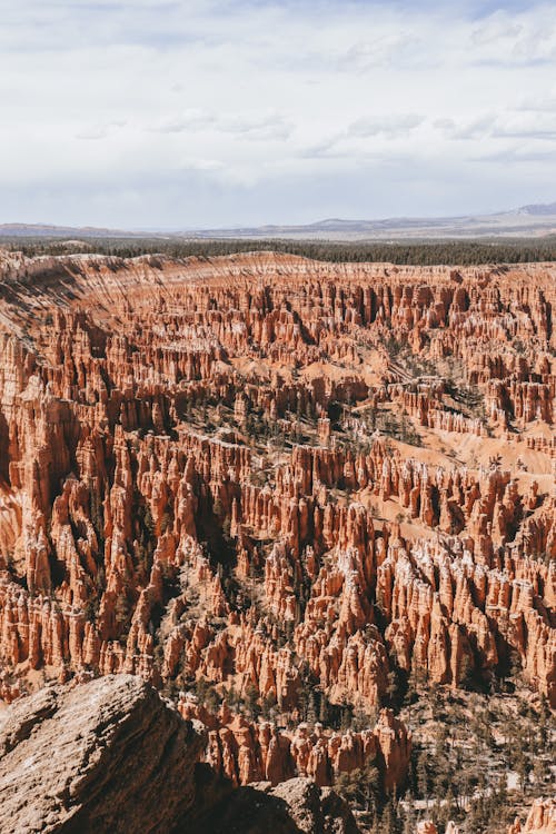 Brown Rock Formations at Bryce Canyon National Park in Utah, United States 