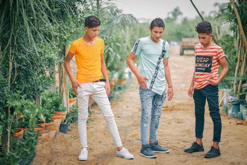 免费 三名男子站在绿叶植物包围的棕色土壤通路上 素材图片