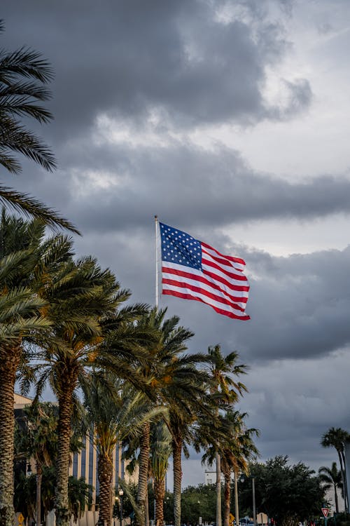 American Flag on Pole Near Palm Trees Under Dark Clouds and Gloomy Sky