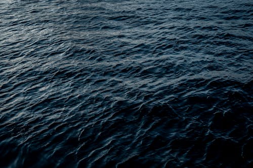 Foto profissional grátis de azul, corpo d'água, mar