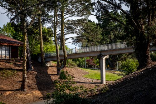 Free A tranquil view of a concrete bridge surrounded by greenery in a peaceful park setting. Stock Photo