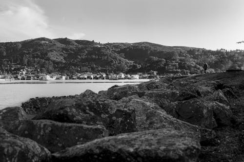 Photos gratuites de échelle des gris, étendue d'eau, monochrome