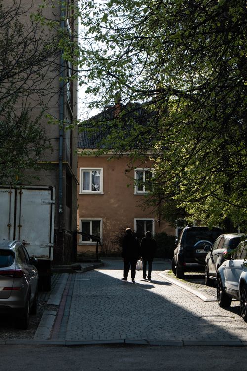 Free People walking down a tree-lined street with vehicles parked alongside, creating a serene urban scene. Stock Photo