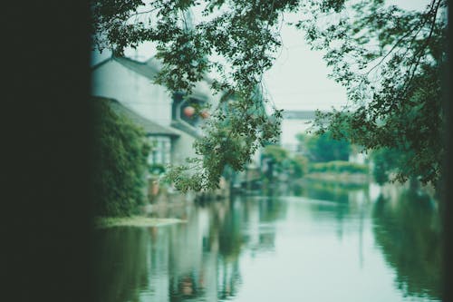 Kostenloses Stock Foto zu bäume, draußen, fluss