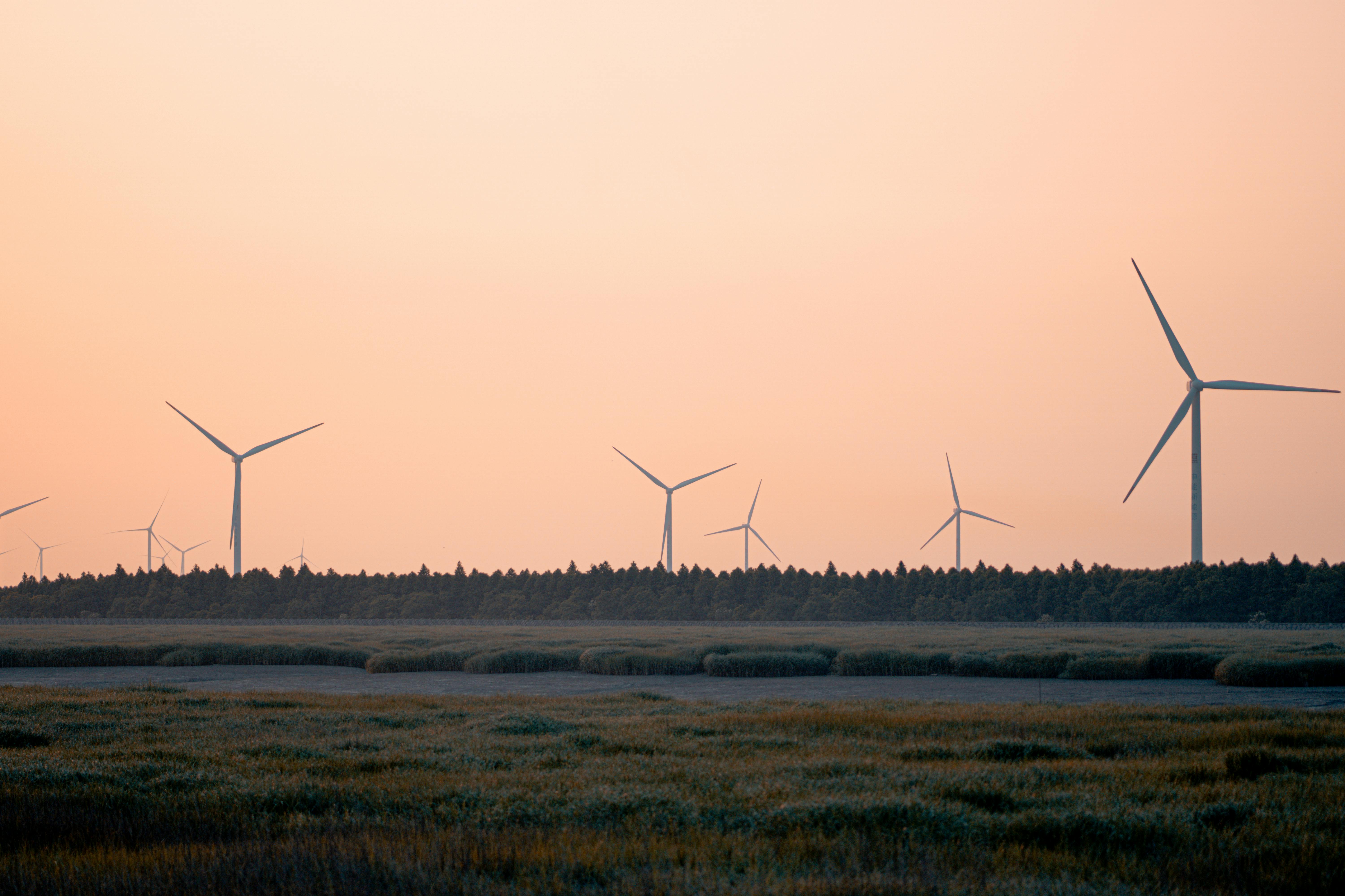 7 Benefits of Renewable Energy Use — Photo by Chengxin Zhao on Pexels
