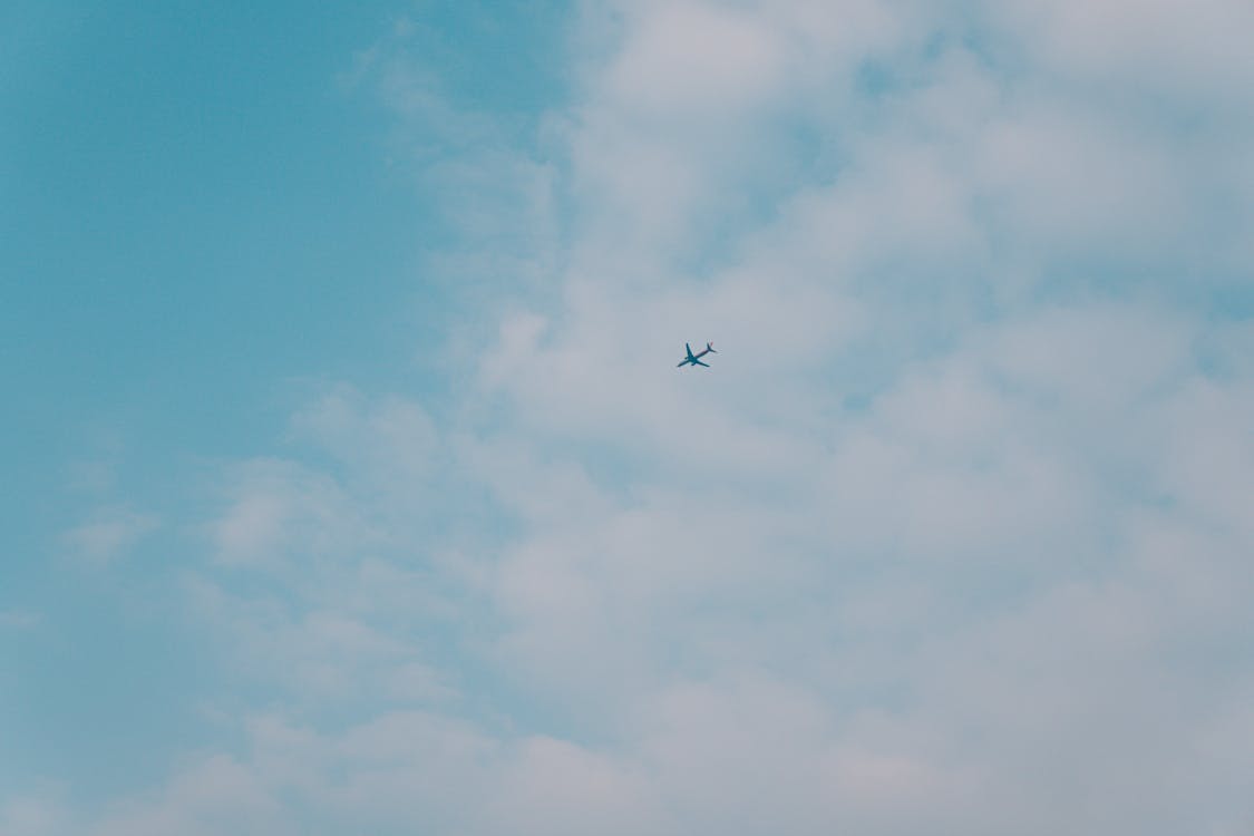 Photo of Airplane Flying in the Sky