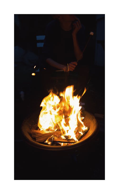 Free Camp fire Stock Photo