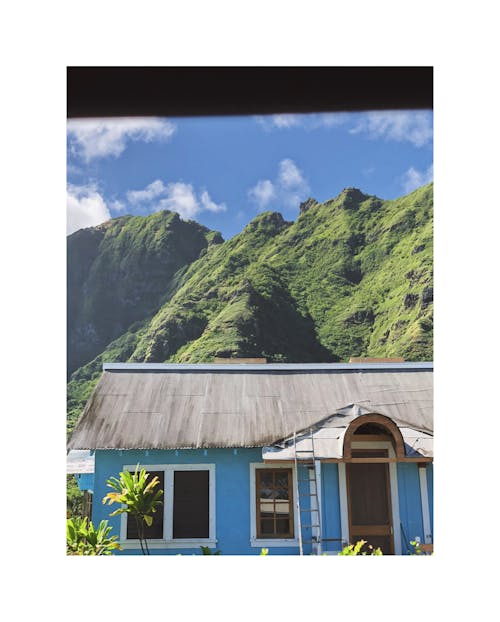 Free Hawaiian shack  Stock Photo