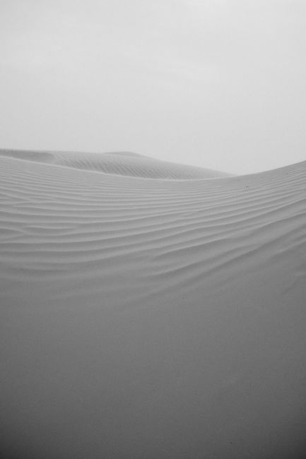 Explore the serene beauty of Dubai's desert sand dunes in a captivating monochrome view.