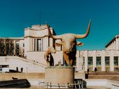 Brown Horse Statue Near White Concrete Building
