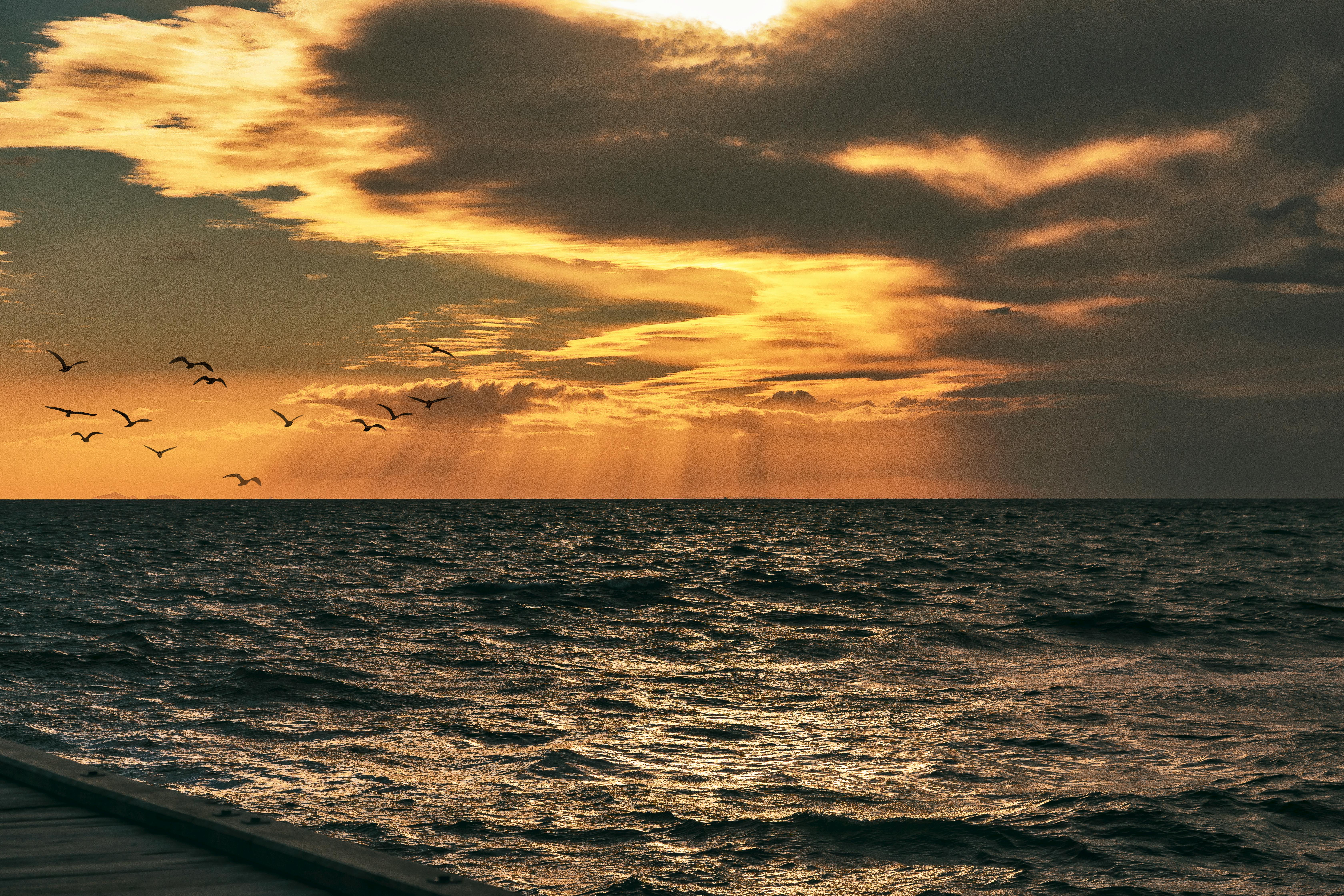 Majestic ocean sunset with birds flying and sunrays breaking through clouds.