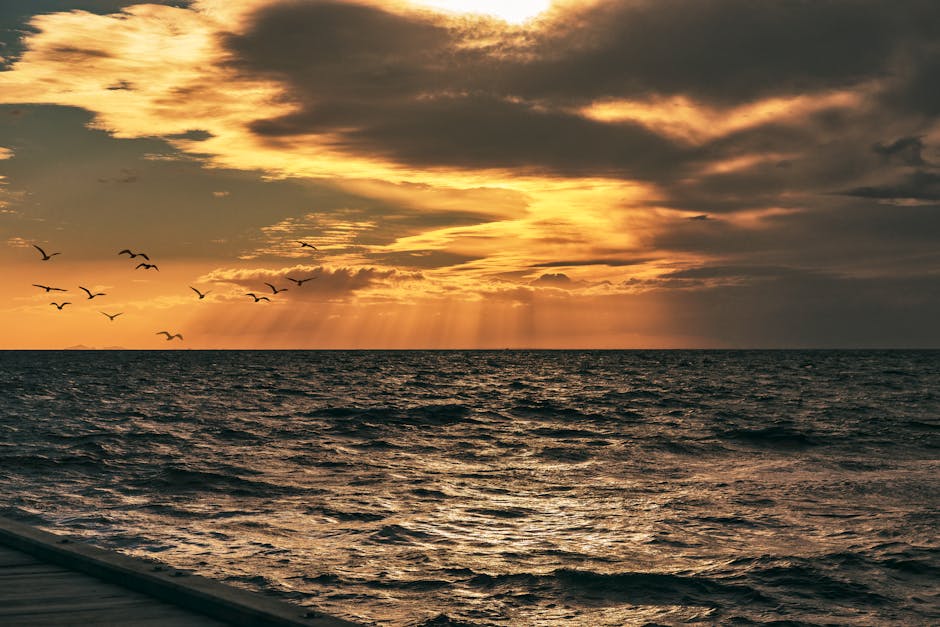 Majestic ocean sunset with birds flying and sunrays breaking through clouds.