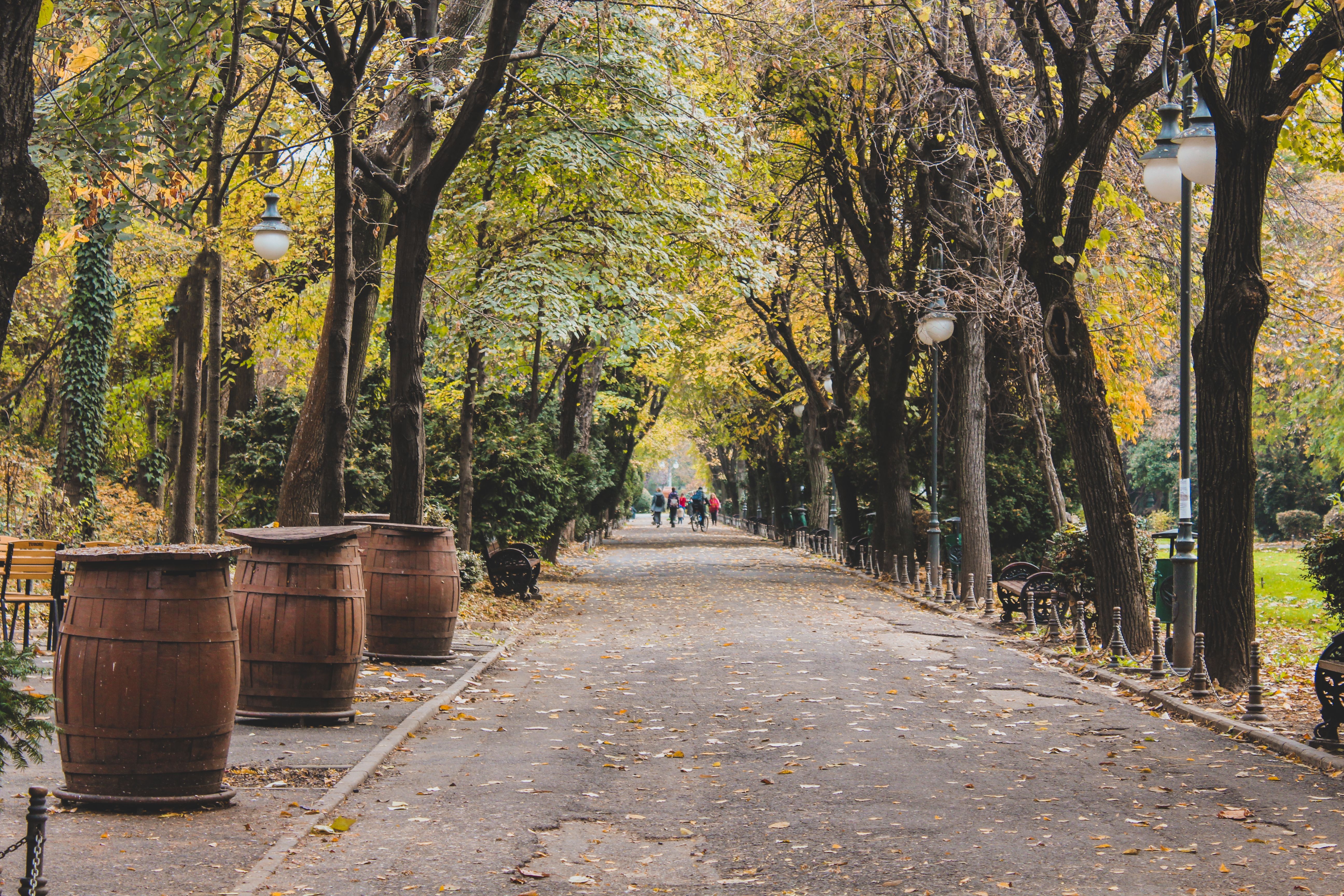 Cobbled street in Sofia's Doctor's Garden neighbourhood in autumn