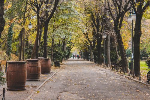 Free Stroll through a picturesque park with autumn foliage and a serene walkway. Stock Photo