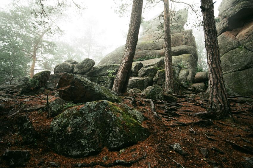 Fog settling over granite blocks and pine &mdash; photo by Alexander Nerozya on Pexels