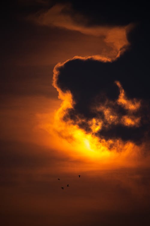 Gratuit Imagine de stoc gratuită din amurg, cer cu nori, formațiune noroasă Fotografie de stoc
