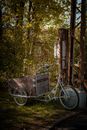 Old bike