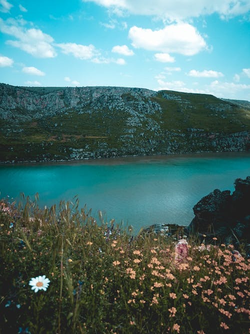 Základová fotografie zdarma na téma fotografie přírody, hora, jezero