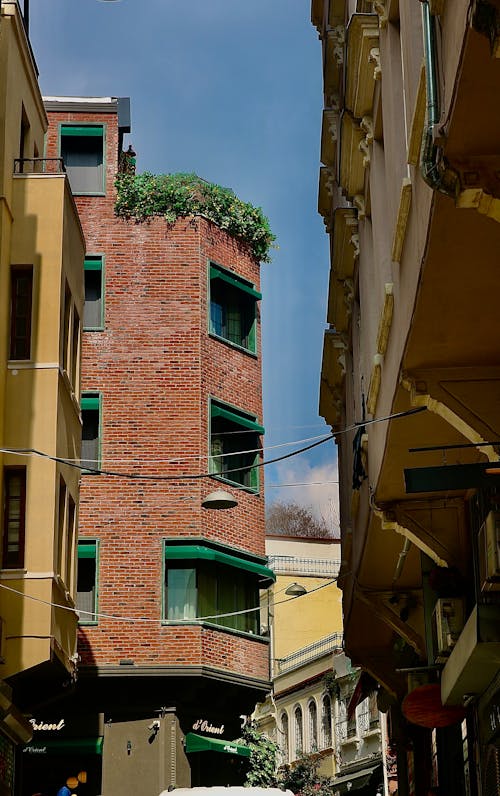 Apartment Building with Brick Wall