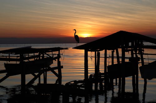 ฟรี คลังภาพถ่ายฟรี ของ ซิลูเอตต์, ตะวันลับฟ้า, ทะเลสาป คลังภาพถ่าย