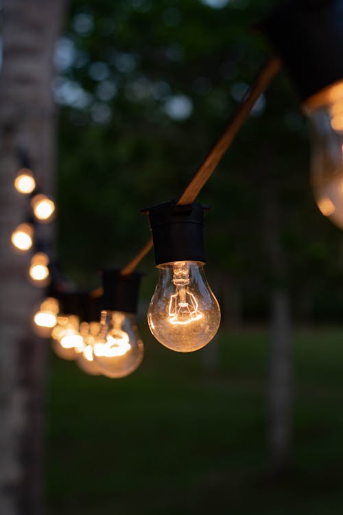 Free Series of Hanging Lightbulbs in a Wire Stock Photo