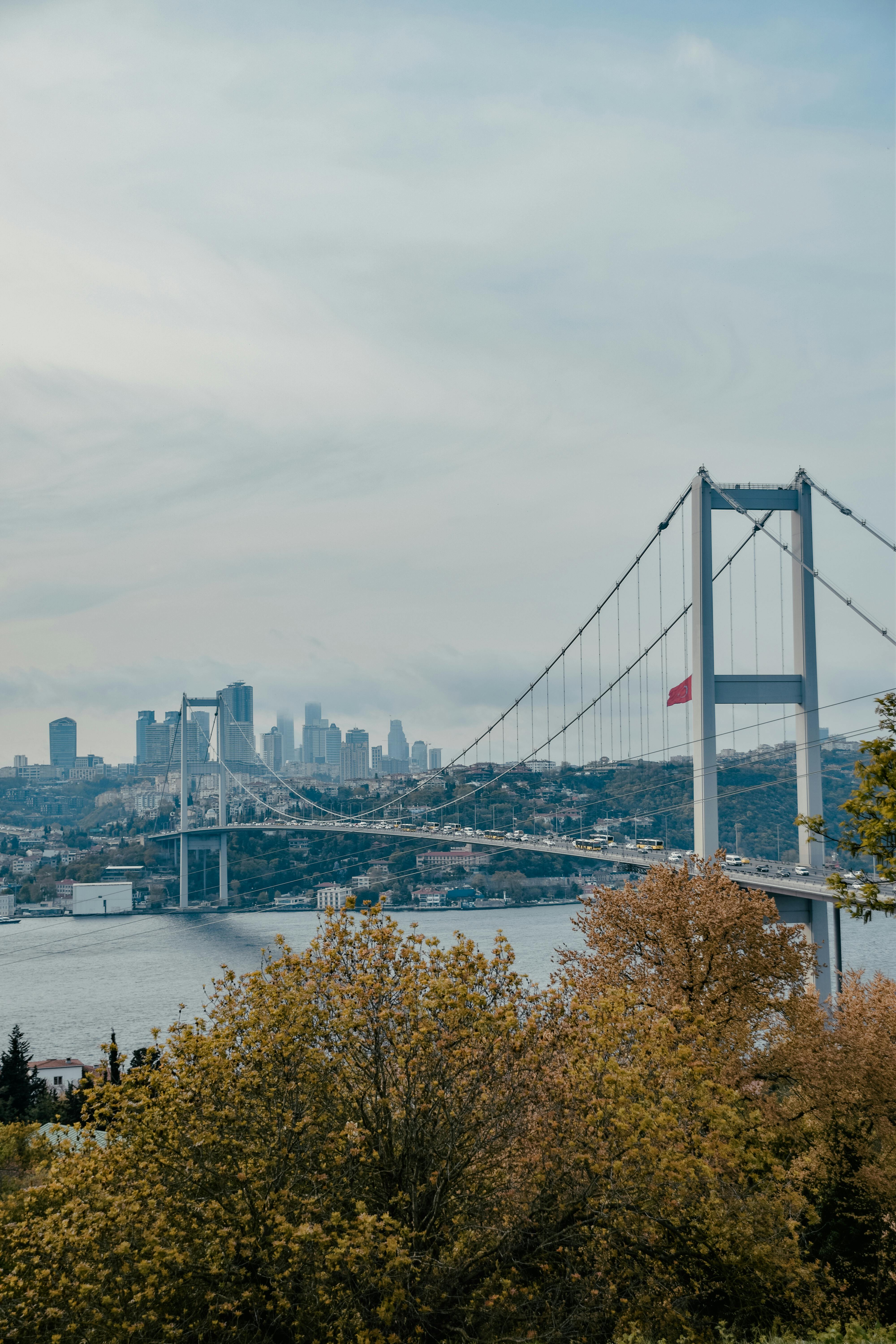 Gratuit Photos gratuites de arbres, architecture, asie Photos