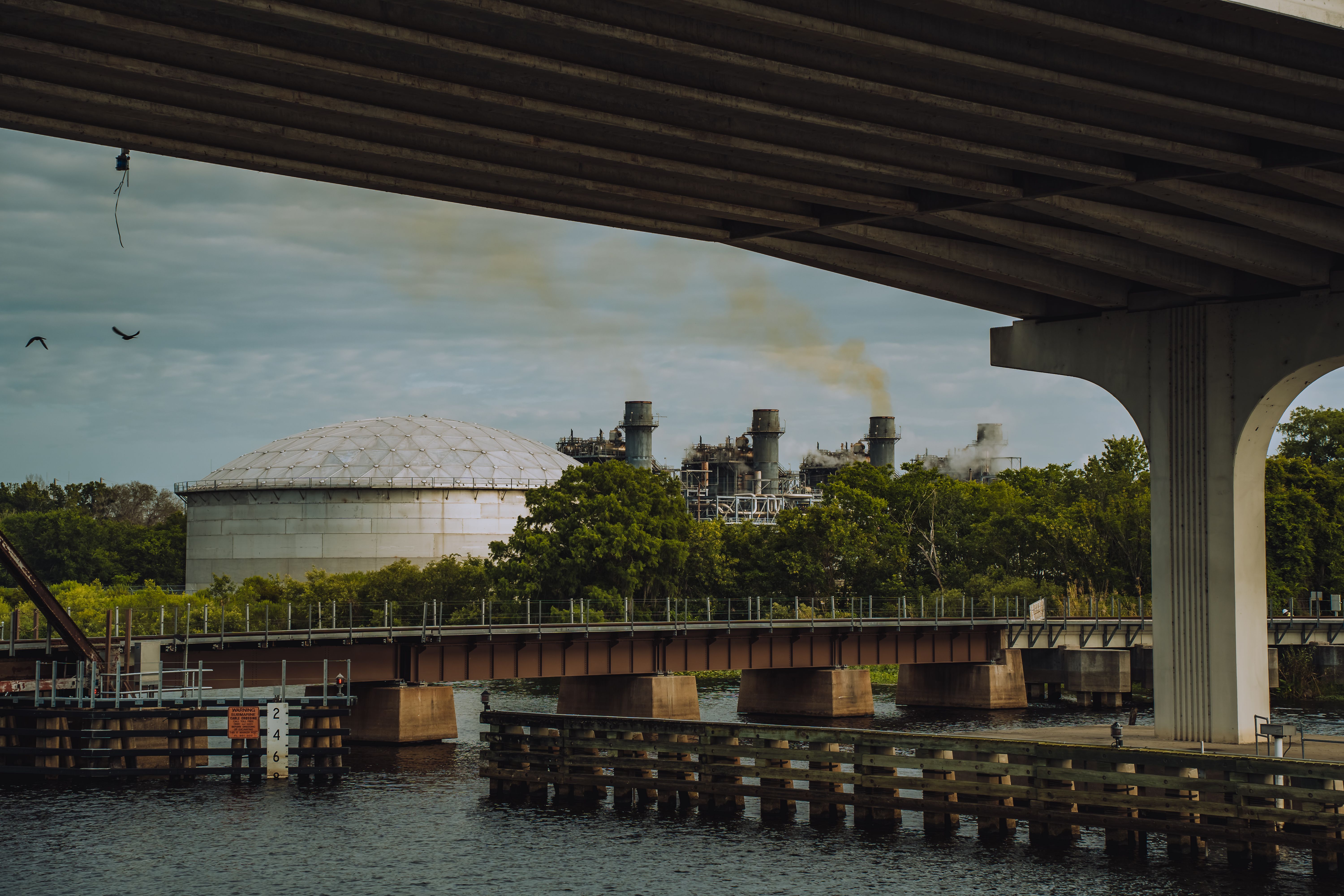 The environmental impact of LLMs vs. SLMs — Photo by Connor Scott McManus on Pexels
