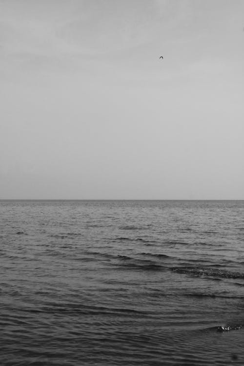 地平線, 垂直拍摄, 水 的 免费素材图片