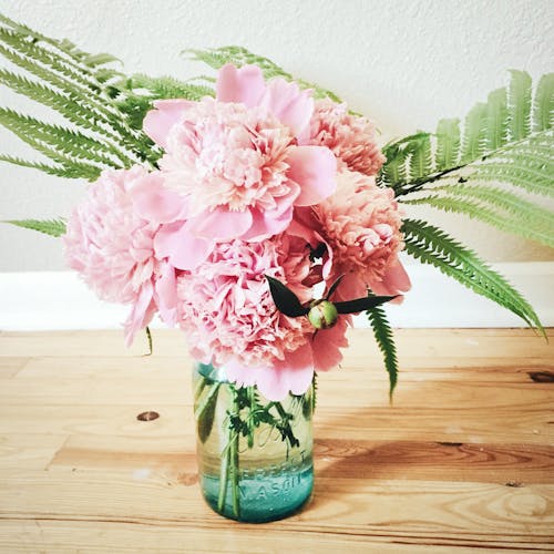 Free Pink Flower in Clear Glass Vase Stock Photo