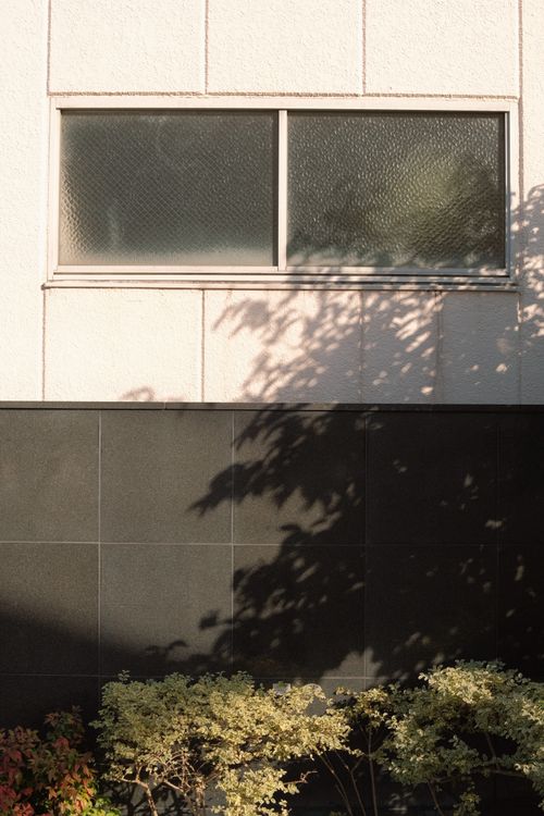 Free A minimalist photo of a wall with a window and nature shadows, perfect for modern design concepts. Stock Photo