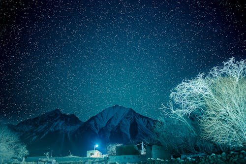 Starry Sky over the Mountains and Trees