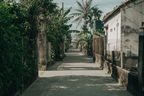 Free A narrow rural street lined with palm trees and houses in a tranquil setting. Stock Photo