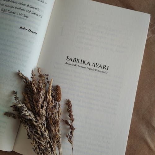 Gratis stockfoto met boek, detailopname, gedroogde plant
