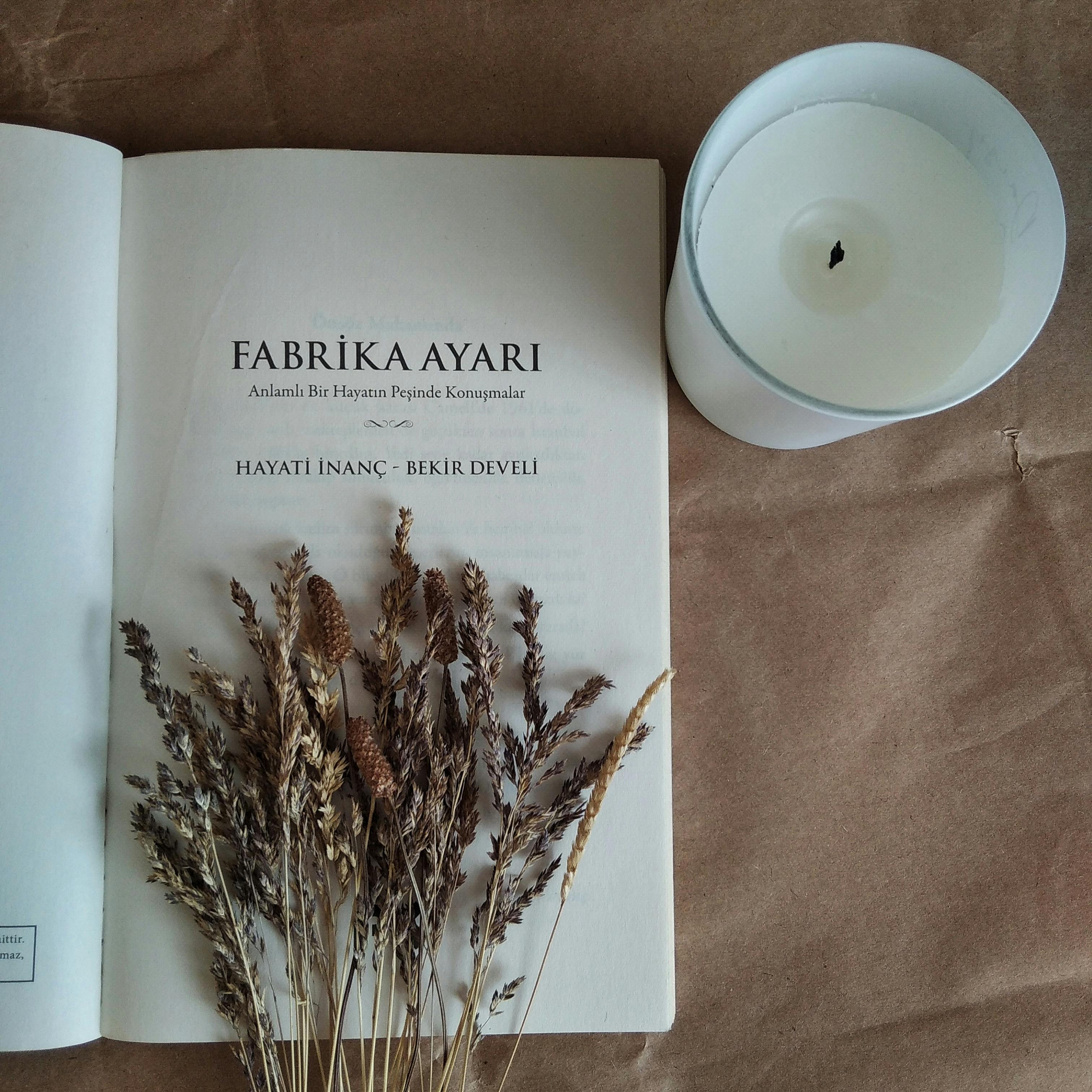 Open book with dried plants and candle creates a cozy reading atmosphere.