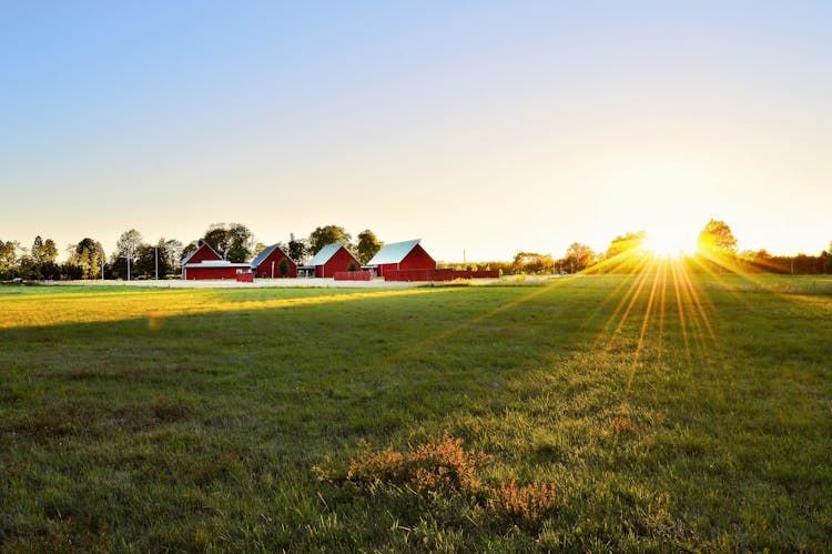 Green Grass Field Near Houses 