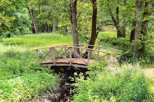 Gratis lagerfoto af apladalen, bro, græs