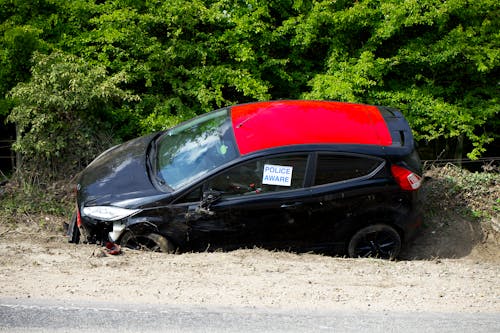 Kostenloses Stock Foto zu auto, bäume, kaputt