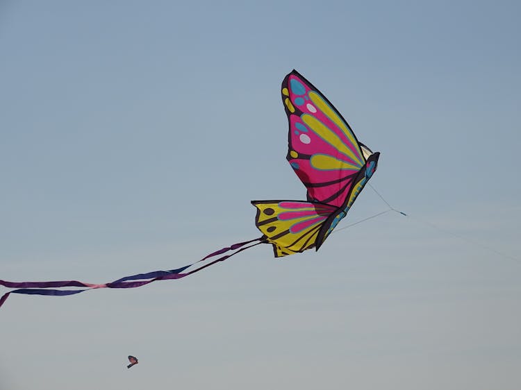 A Butterfly Kite Flying