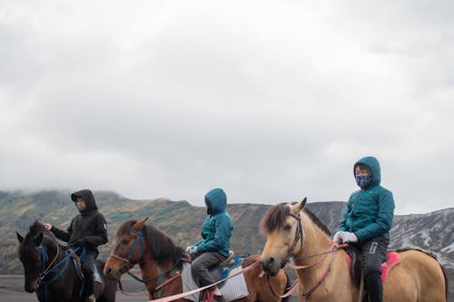 Free People Wearing Jacket while Riding a Horse Stock Photo